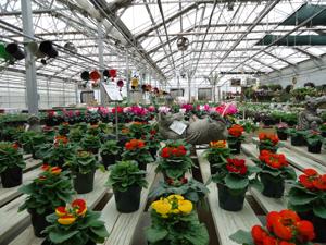 Ottos2-29-16 033.JPG
