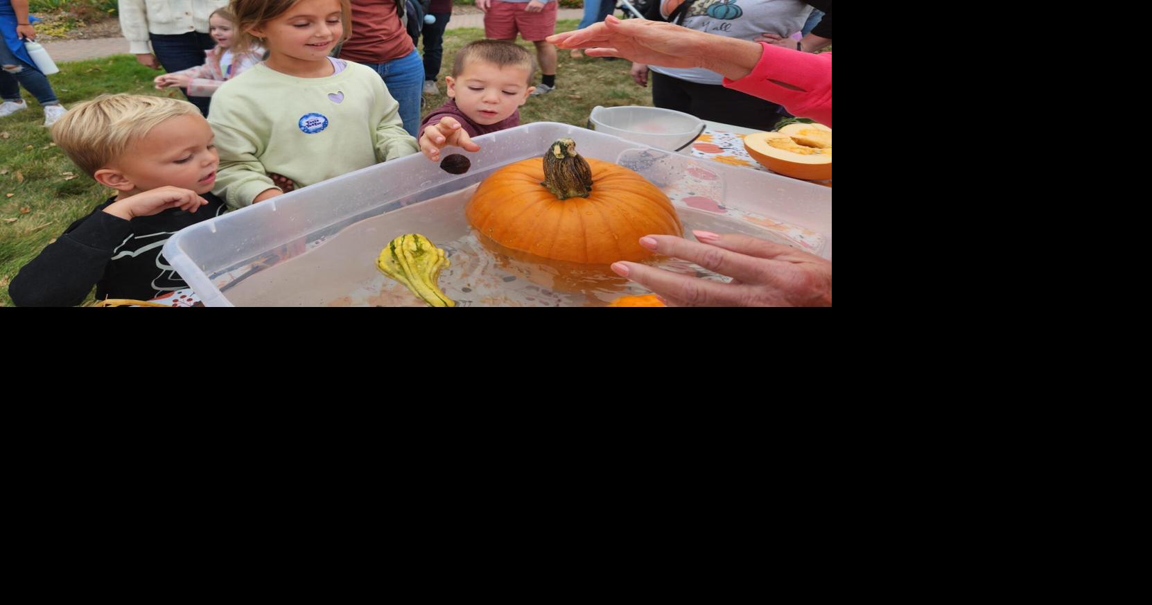 Pumpkin Palooza held in Clear Lake