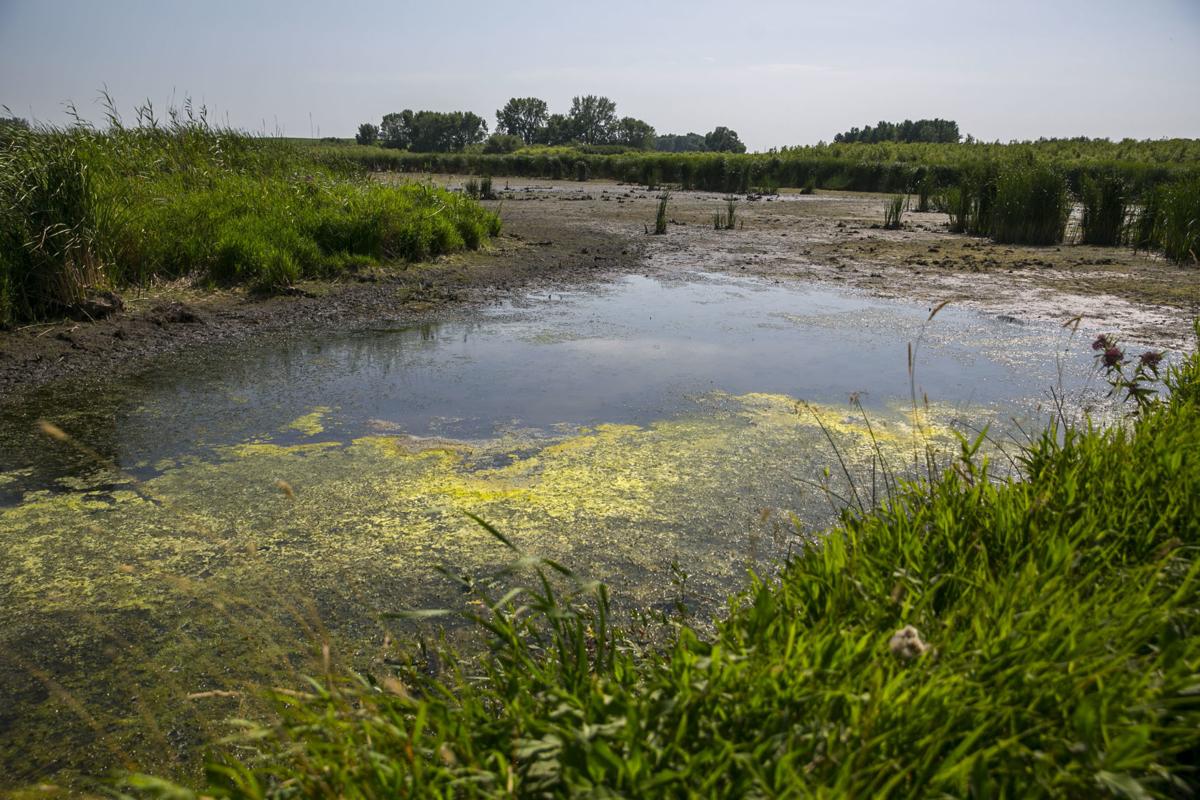 County projects Prairie Land trail gets 2 more miles, part of Zirbel