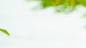 season 2 winner of biggest loser bringing story to osage mitchell county news globegazette com