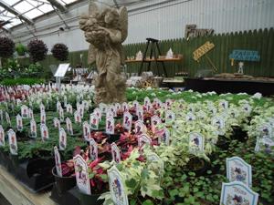 Ottos2-29-16 039.JPG