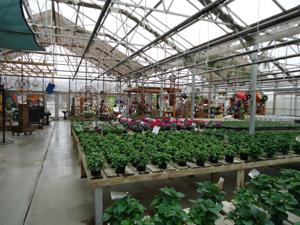 Ottos2-29-16 044.JPG