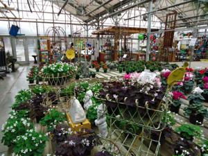 Ottos2-29-16 046.JPG