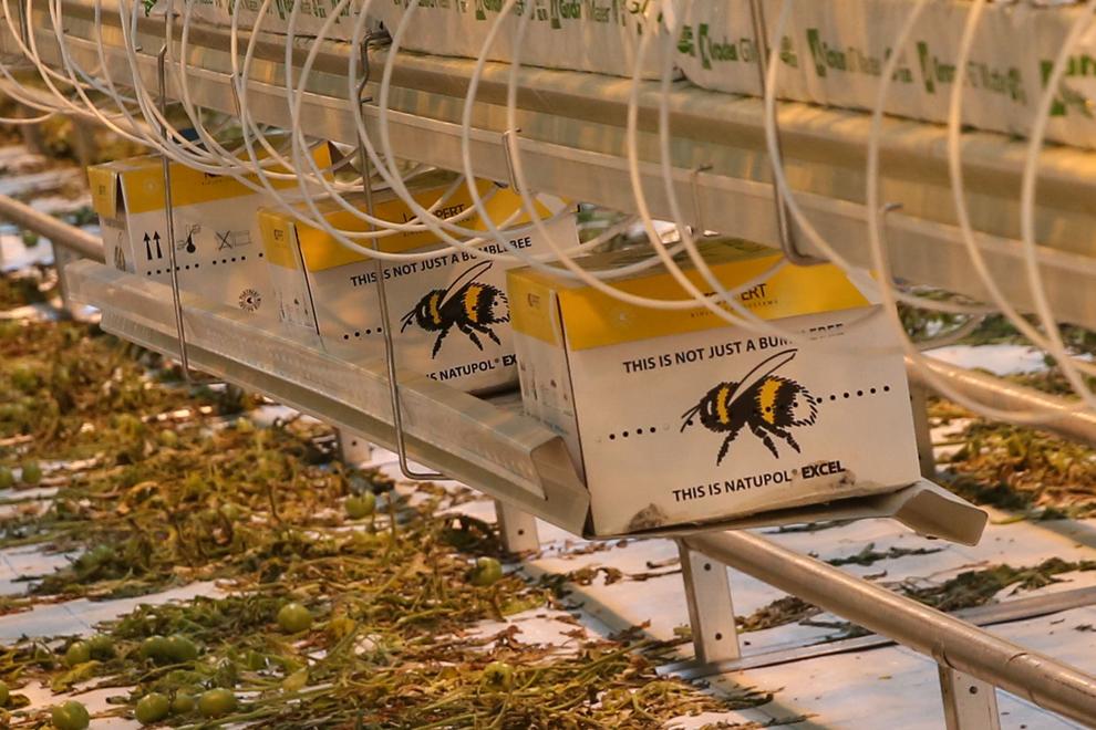 PHOTOS A walkthrough of Mason City's new Bushel Boy Farms commercial