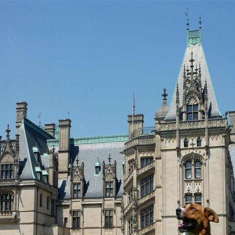 Amazing Asheville Nc Pleasing To People And Their Pets Lifestyles Globegazette Com