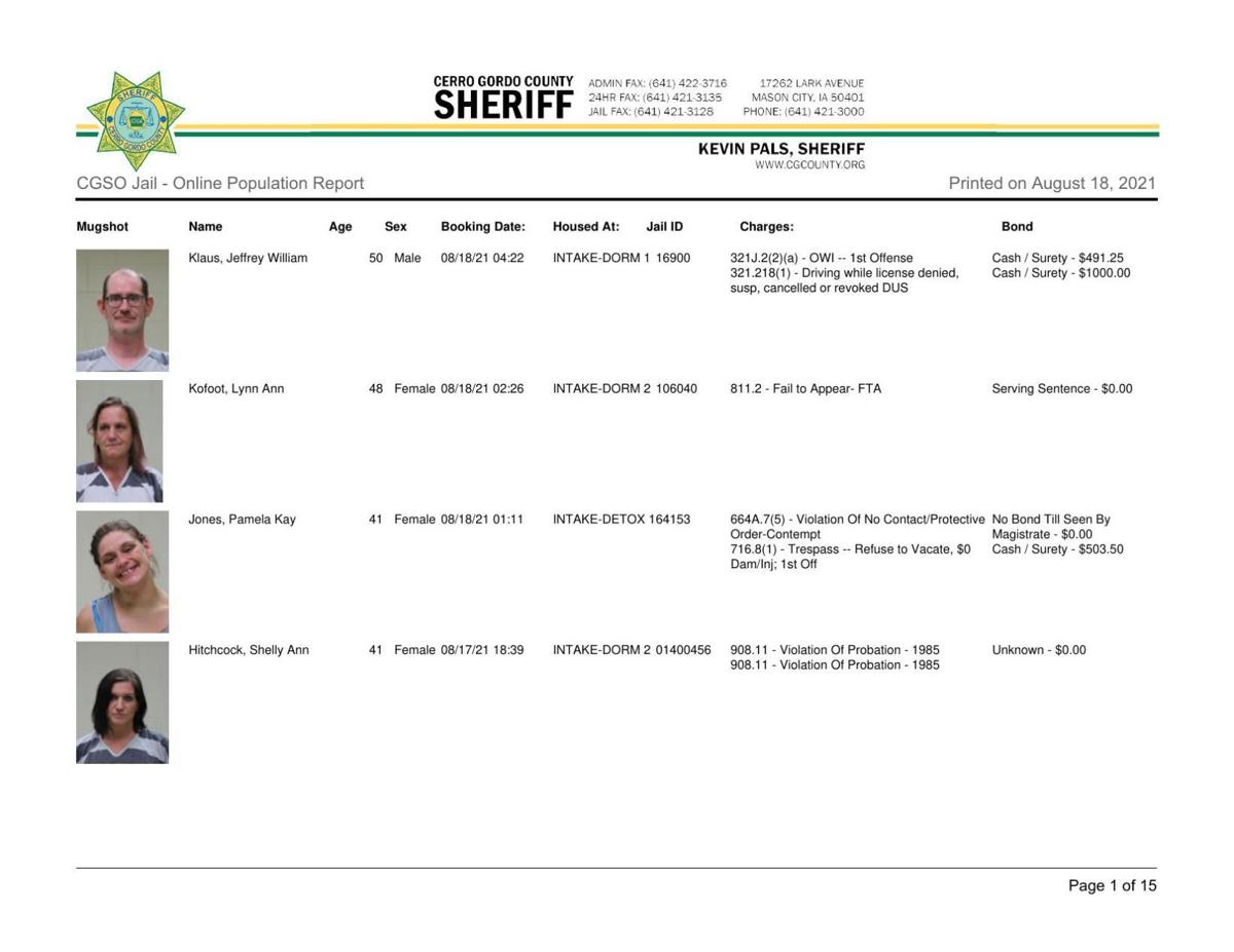 Cerro Gordo County Jail log for August 18