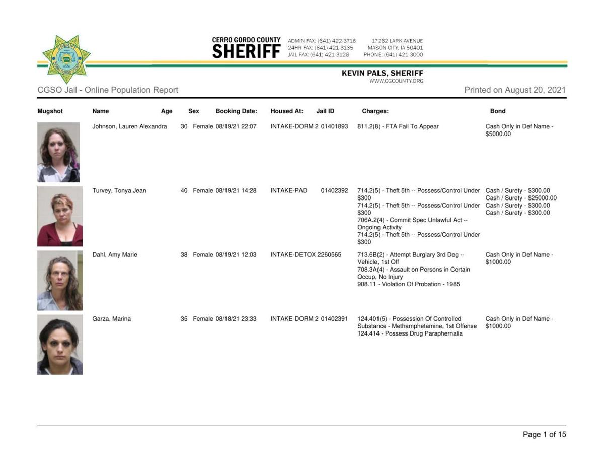 Cerro Gordo County Jail log for August 20