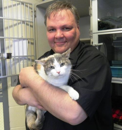 Winnie the rescued cat finds a home Mason City & North Iowa