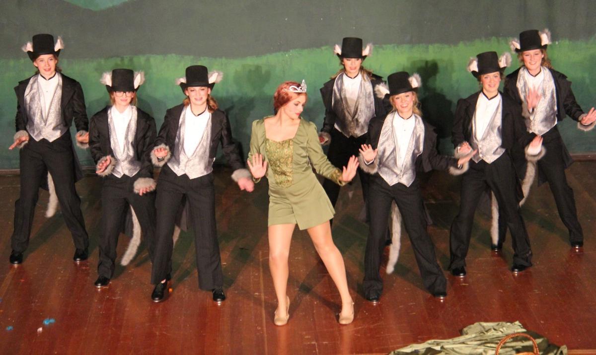 Photos Shrek The Musical Forest City Summit