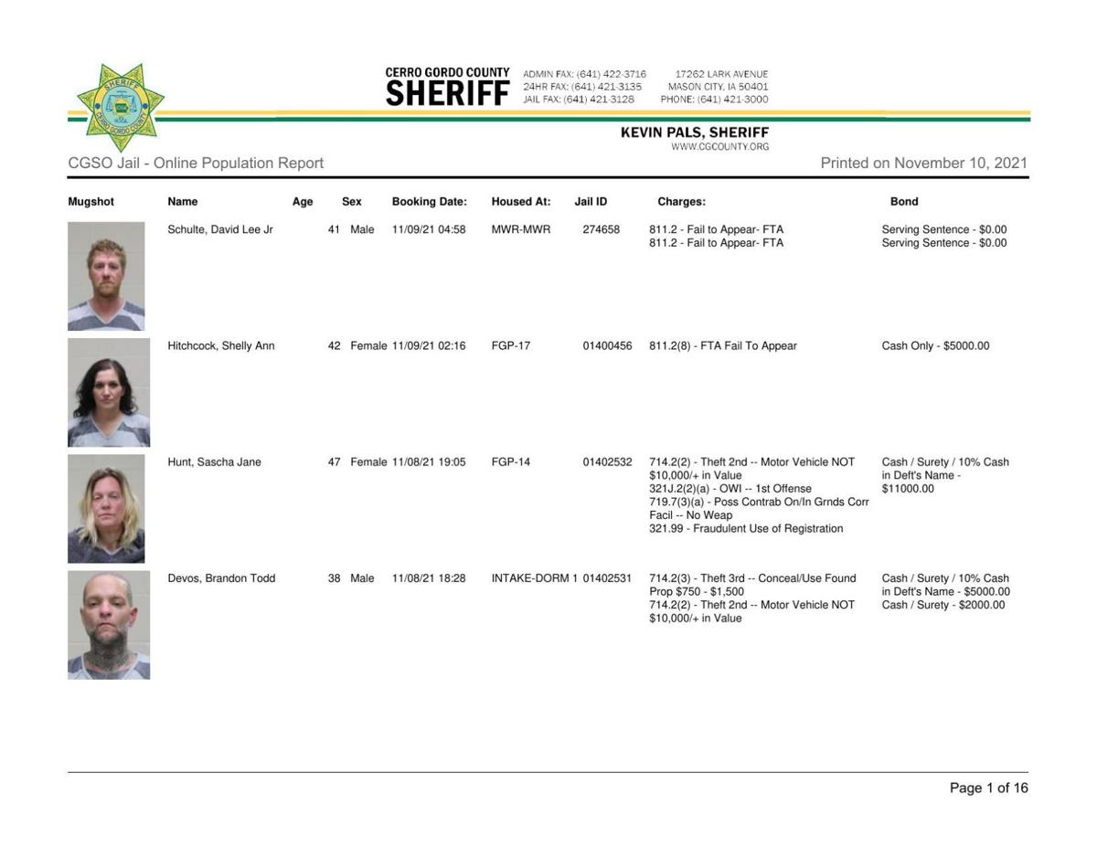 Cerro Gordo County Jail log for Nov. 10