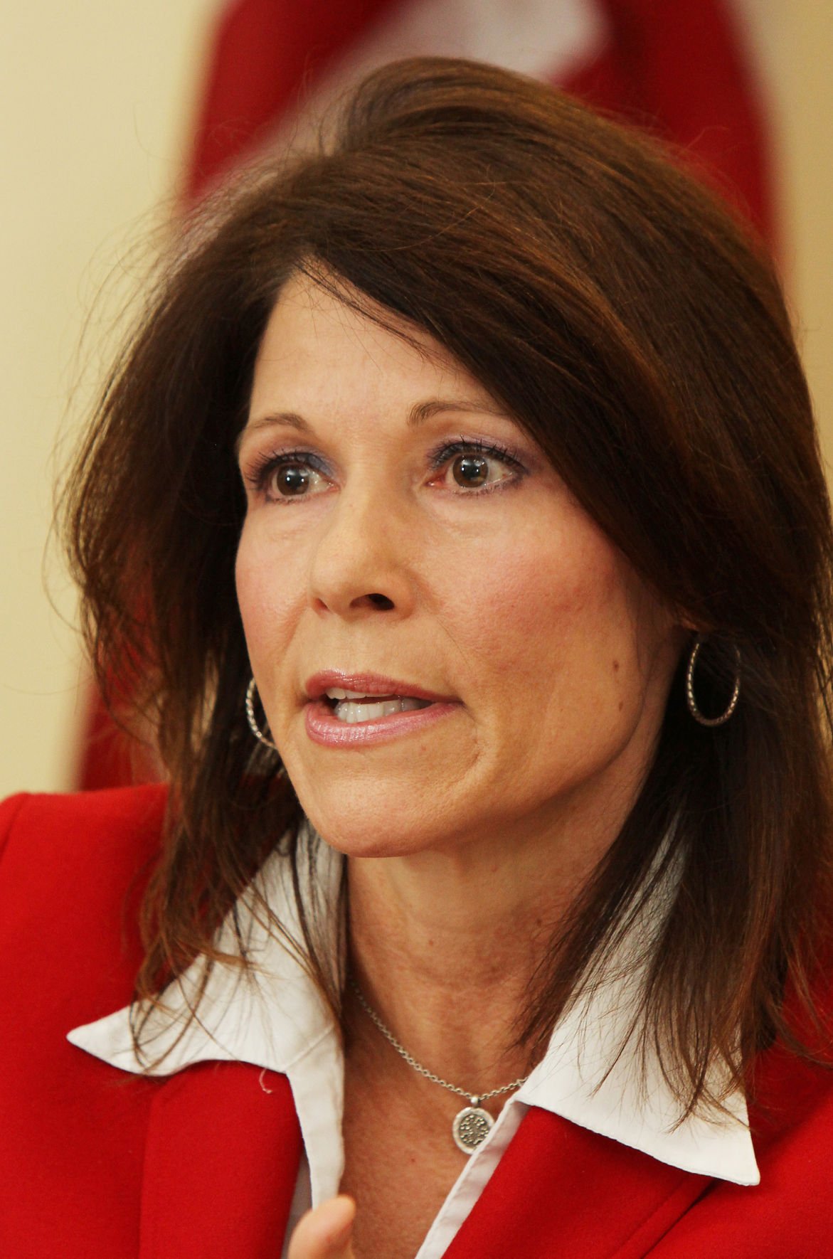 Bustos one of key speakers at revived Iowa steak fry | Iowa & The ...