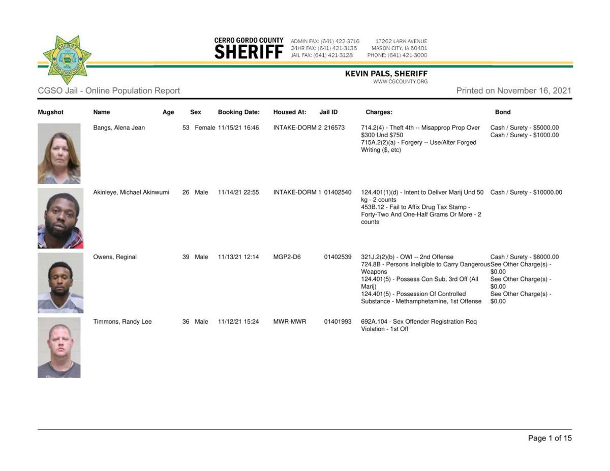 Cerro Gordo County Jail log for Nov. 16