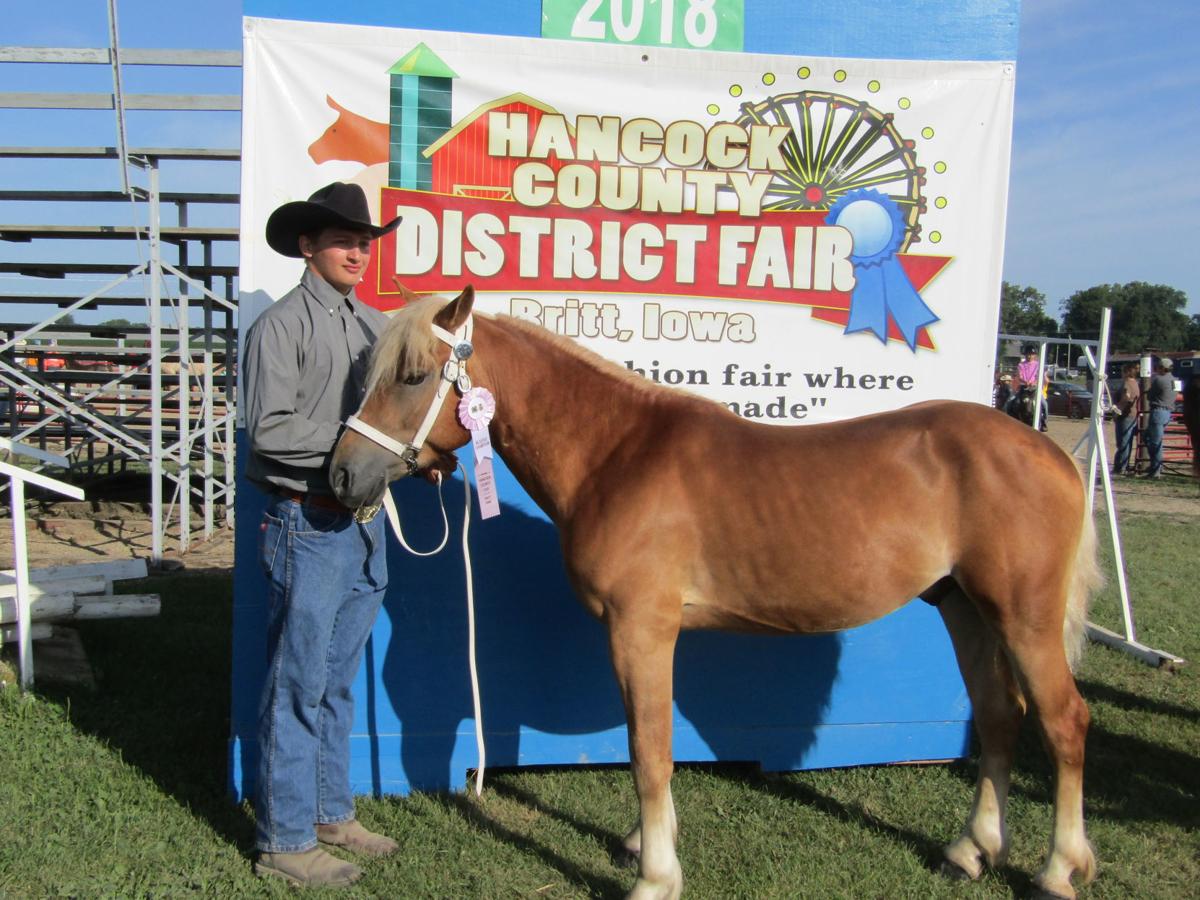 2018 Horse And Pony Show Results Britt News Tribune