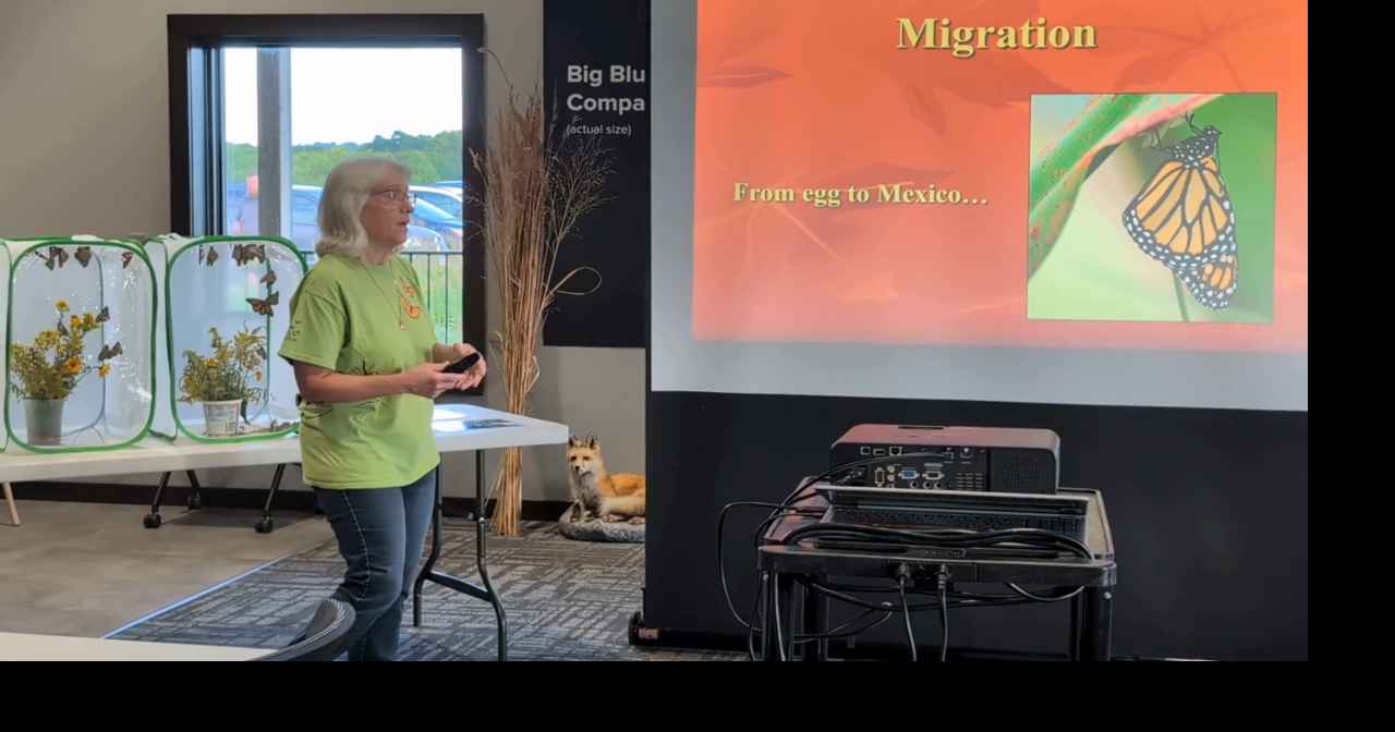 WATCH NOW: Monarch tagging at Hanson Nature Center in Leland