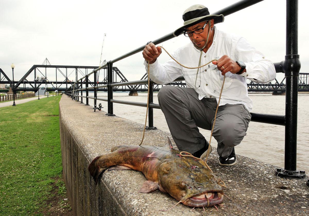 Iowa man reels in 60pound catfish (with photos) Iowa & The Midwest