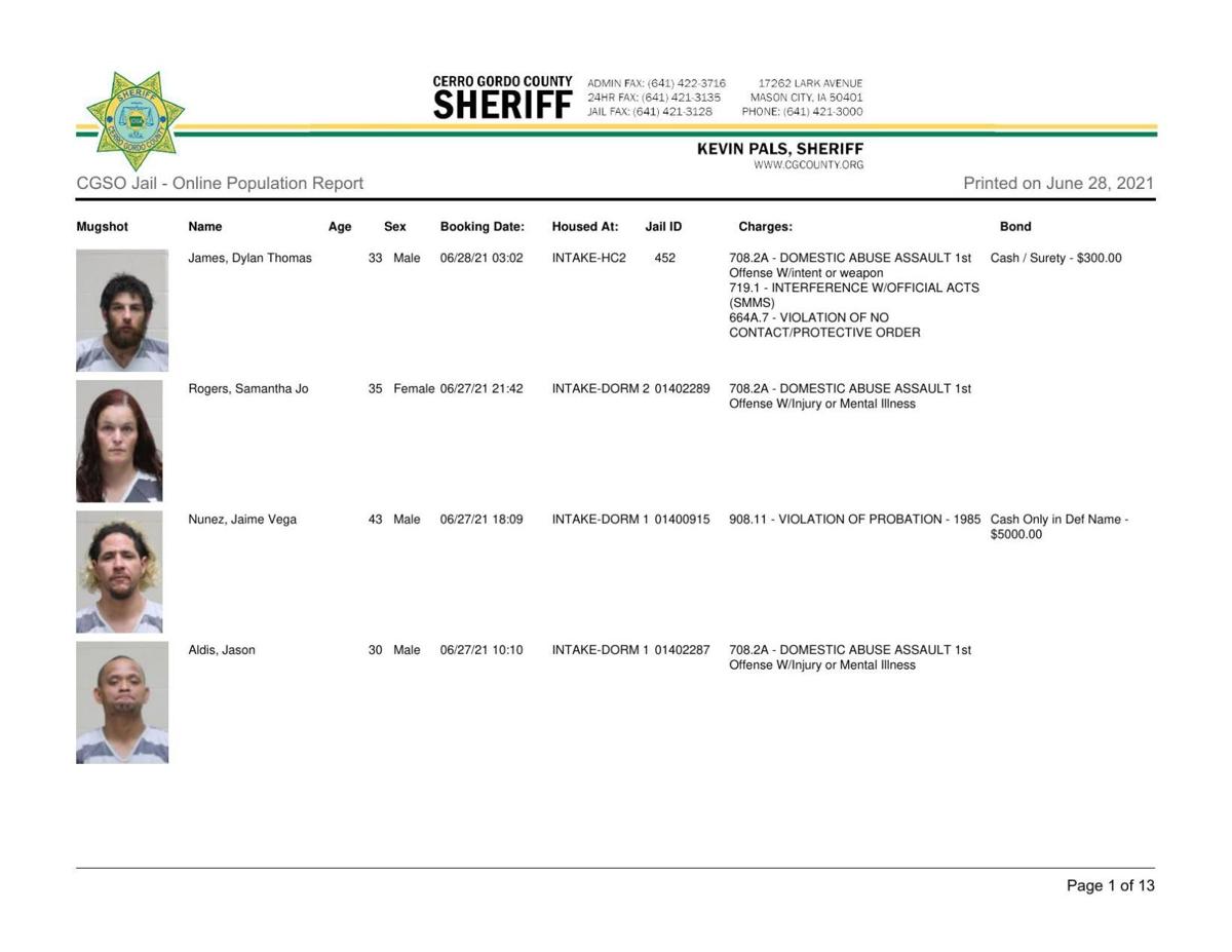Cerro Gordo County Jail log for June 28