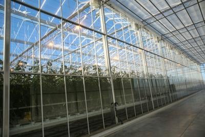 Mason City's new Bushel Boy greenhouse offers one future to farming