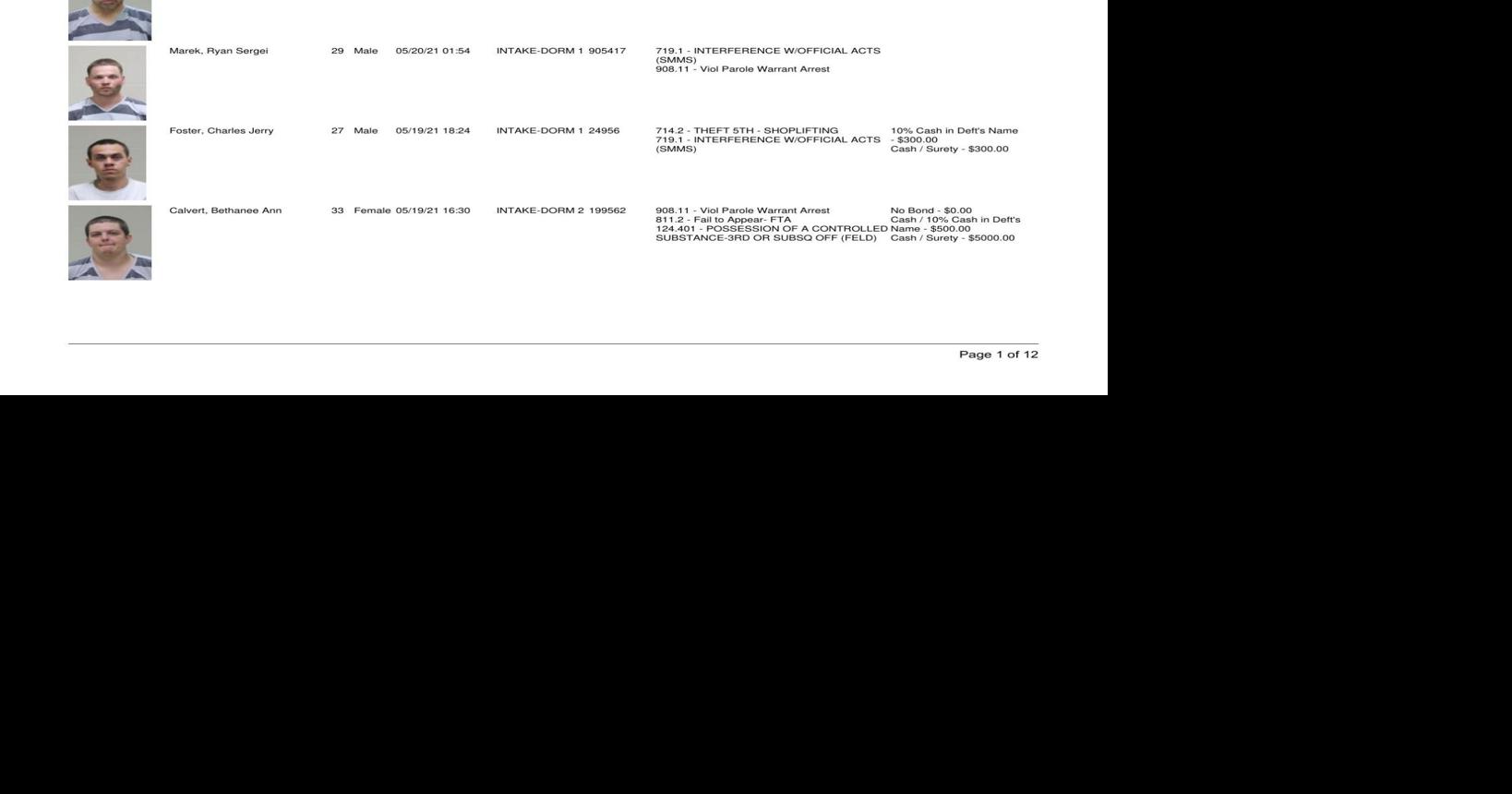 Cerro Gordo County Jail log for May 20
