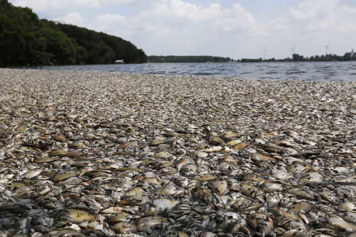 Algae bloom kills thousands of fish at Crystal Lake