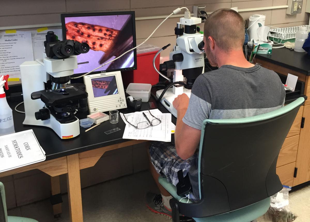 ISU offers plant and diagnostic clinic Features ISU offers plant and diagnostic clinic Features