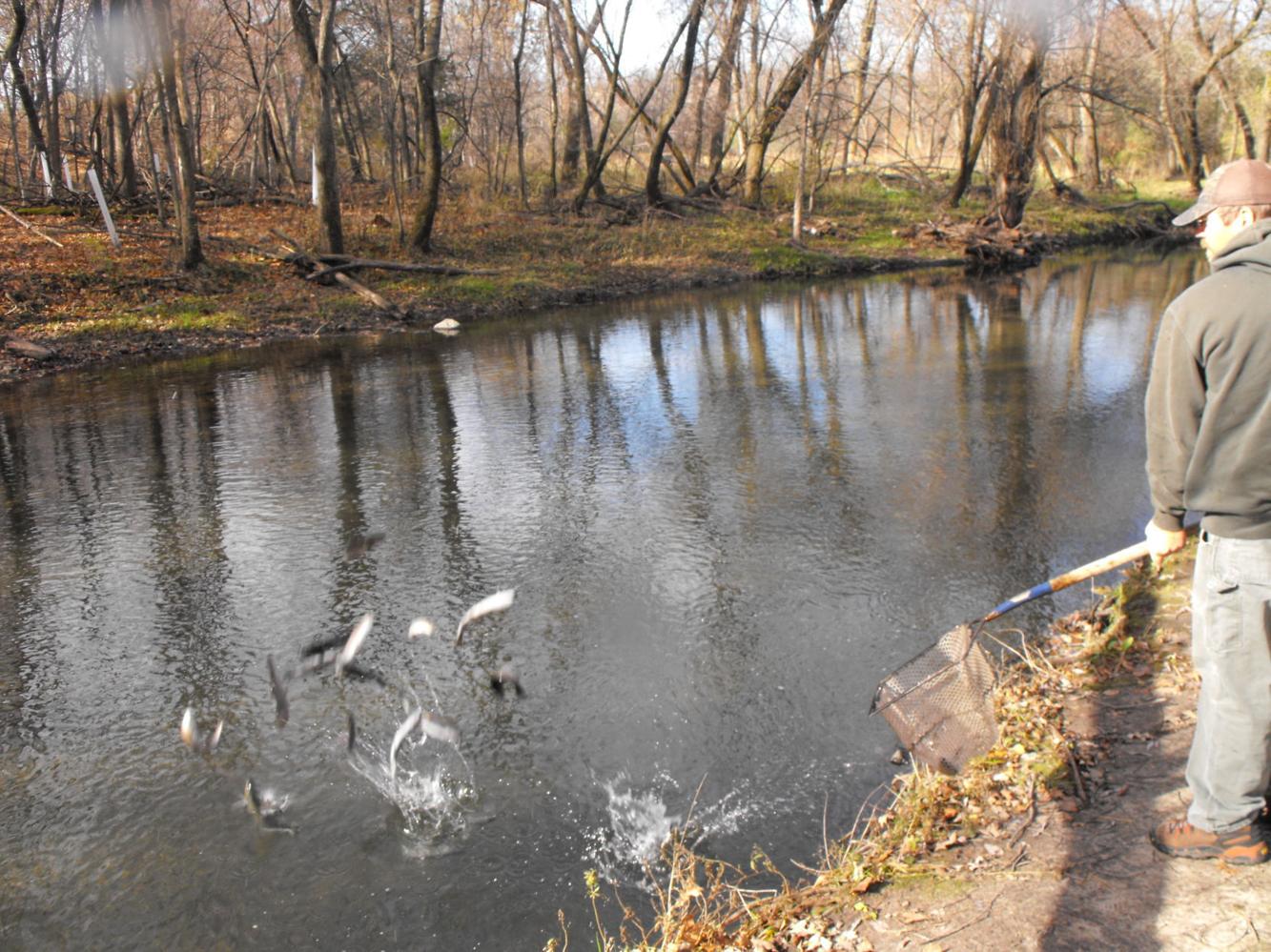 Iowa DNR stocks Mitchell County trout streams