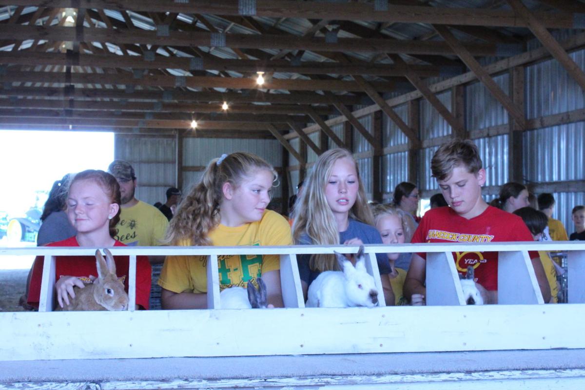 Senior Fair Schedule Crawford County Fair