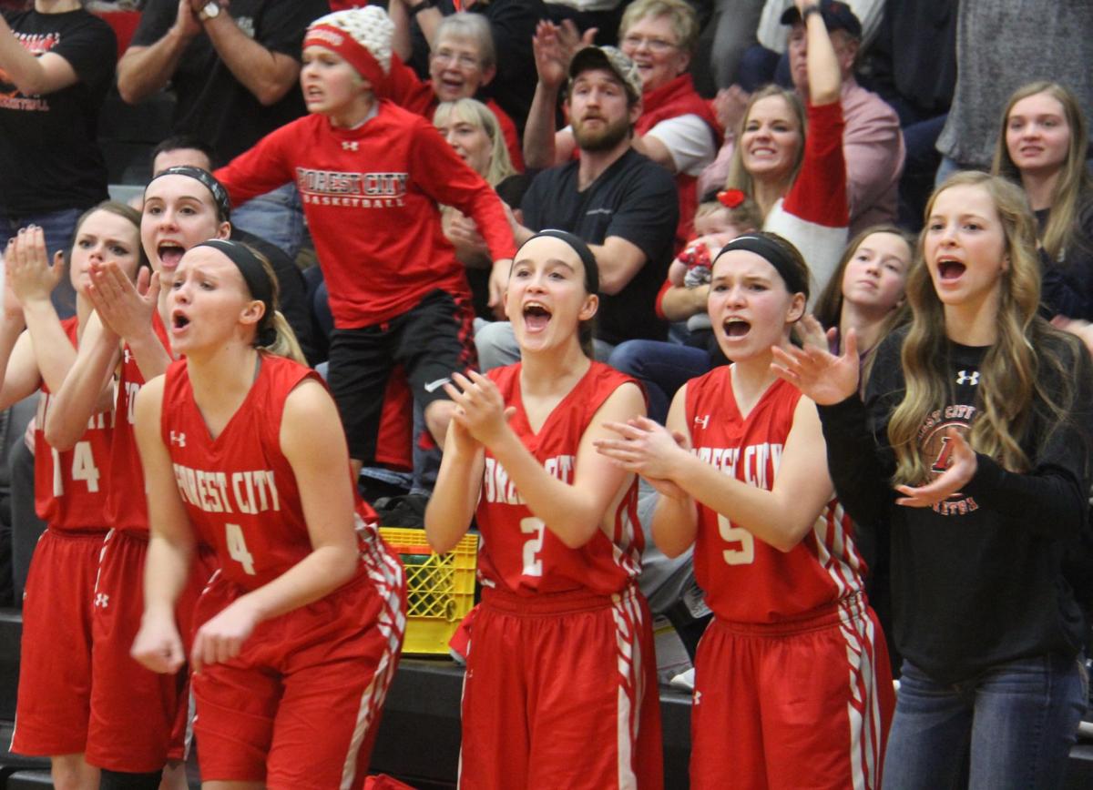 Algona Girls Regional Basketball Algona Porn - Algona Girls Regional Basketball