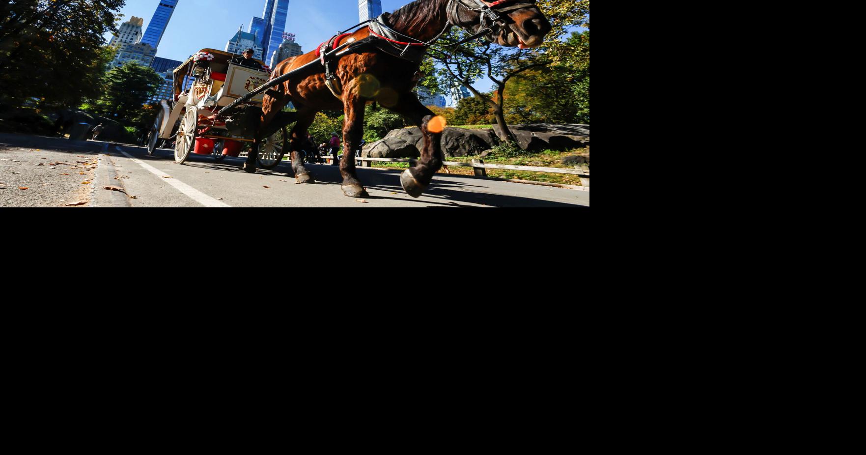 After generations, New York's horse-drawn carriages face ban Christopher Cann, Maria Tsvetkova and Dan Fastenberg USA TODAY/Reuters Oct 26, 2026 53 sec ago