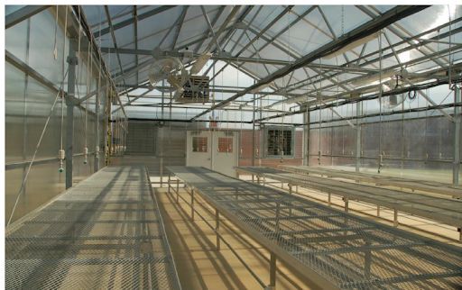 Stuppy Greenhouse Inside.png