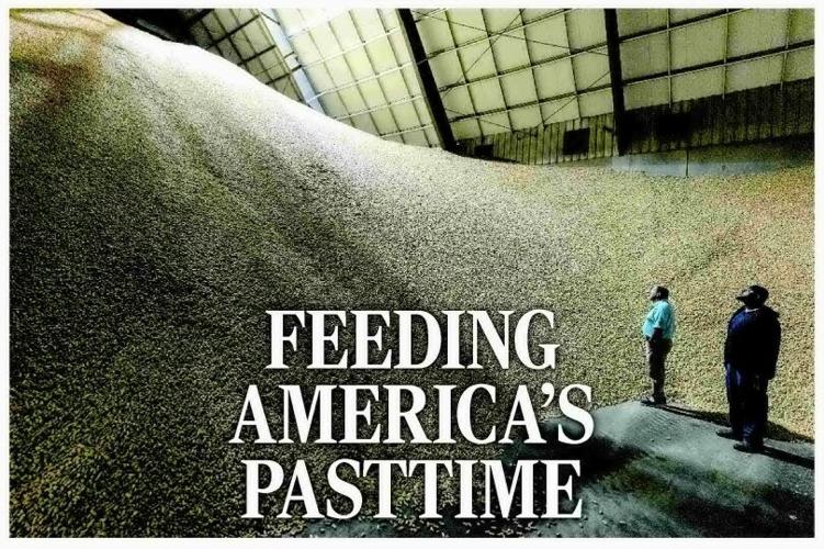 FEEDING MERICA'S PASTTIME