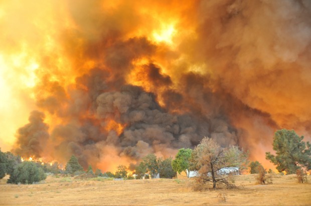Small plane crash sparks rapid brush fire in Calif