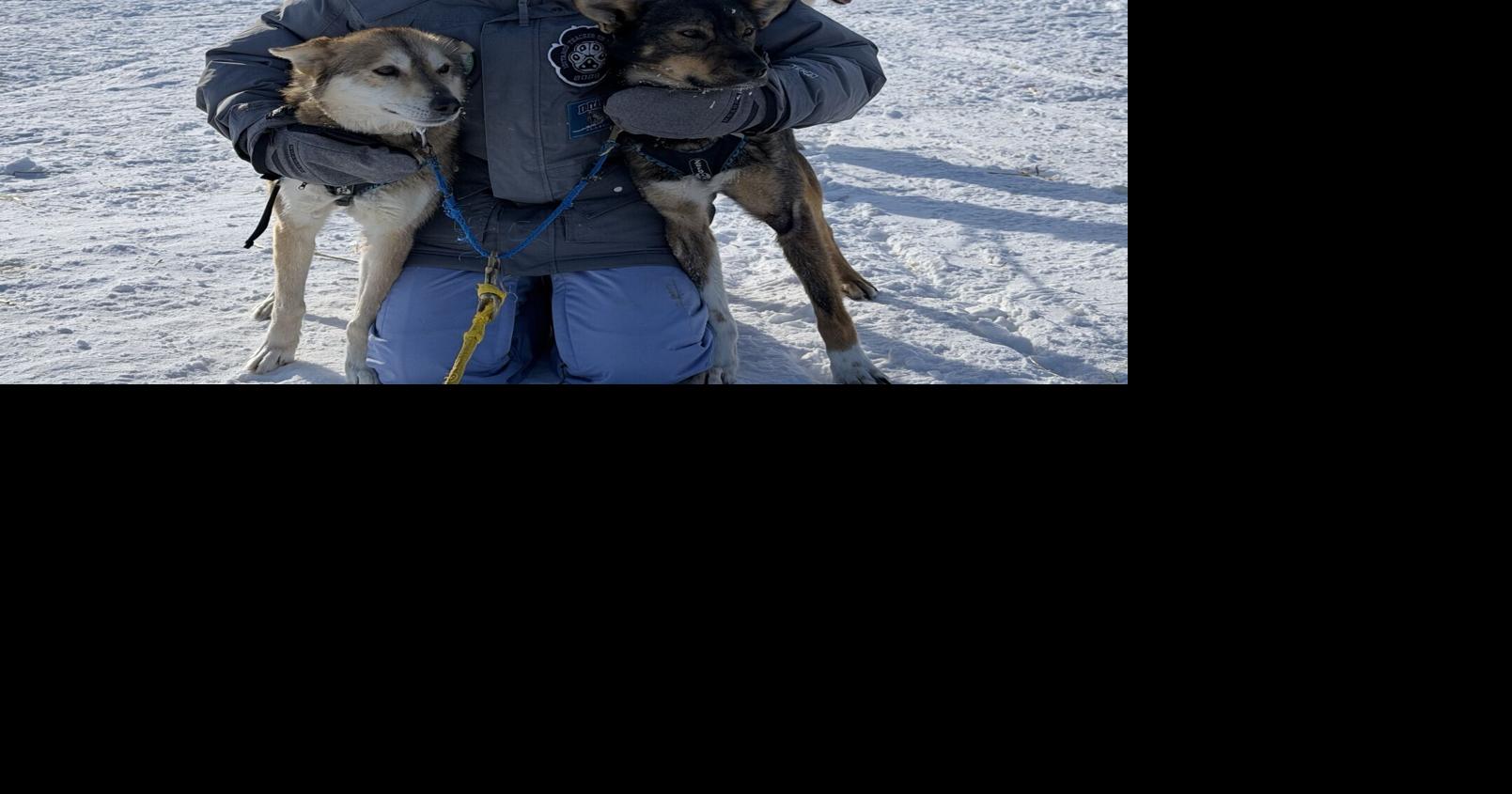 In case you missed it: Osage teacher goes north for the Iditarod dog sled race