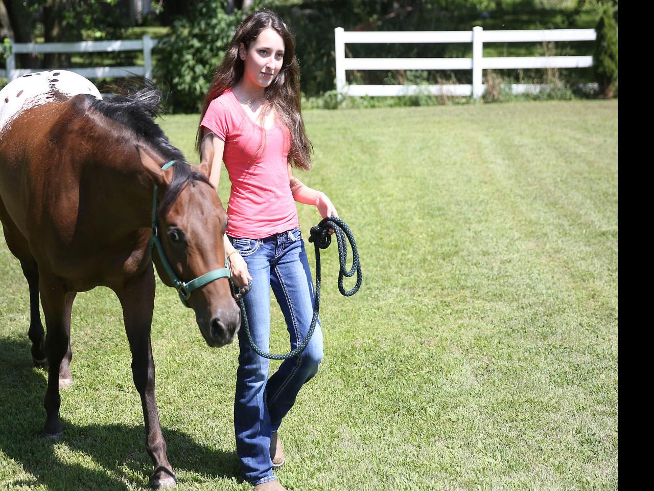 Native North Iowa Pony Breed Returns To Mason City Iowa The