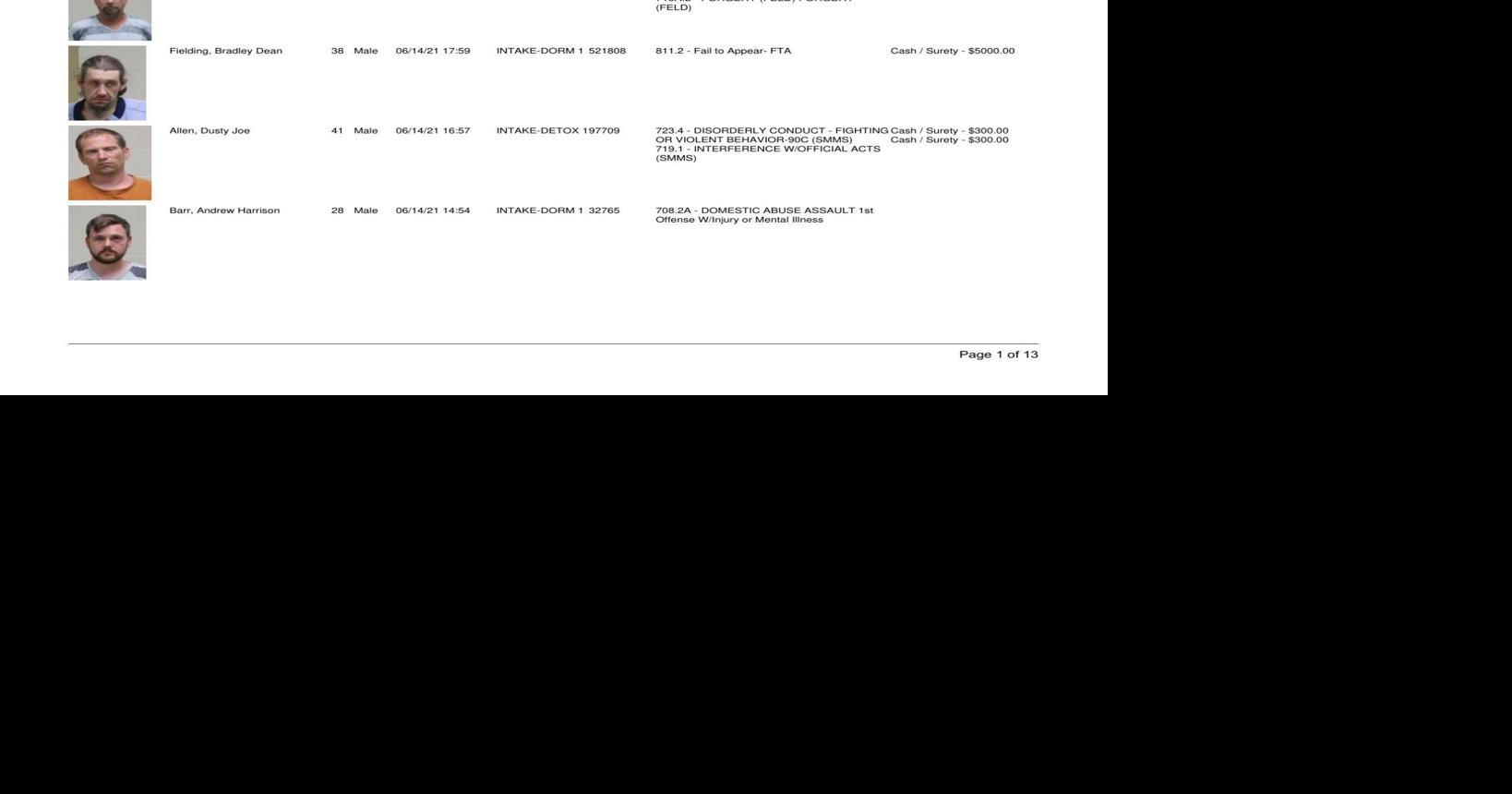 Cerro Gordo County Jail log for June 15