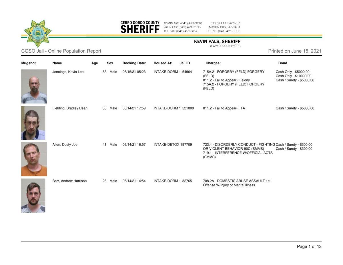 Cerro Gordo County Jail log for June 15