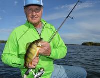Fall catch