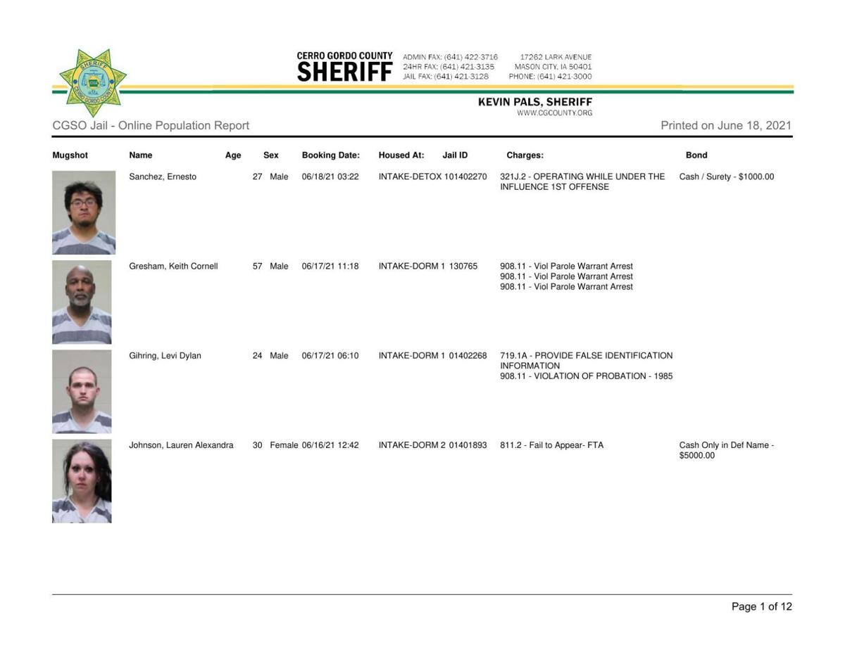 Cerro Gordo County Jail log for June 18