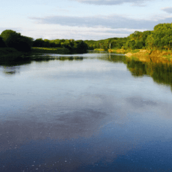 Windows on Waterloo Webinar Series – Earth Protection: Local Solutions for a Sustainable Future