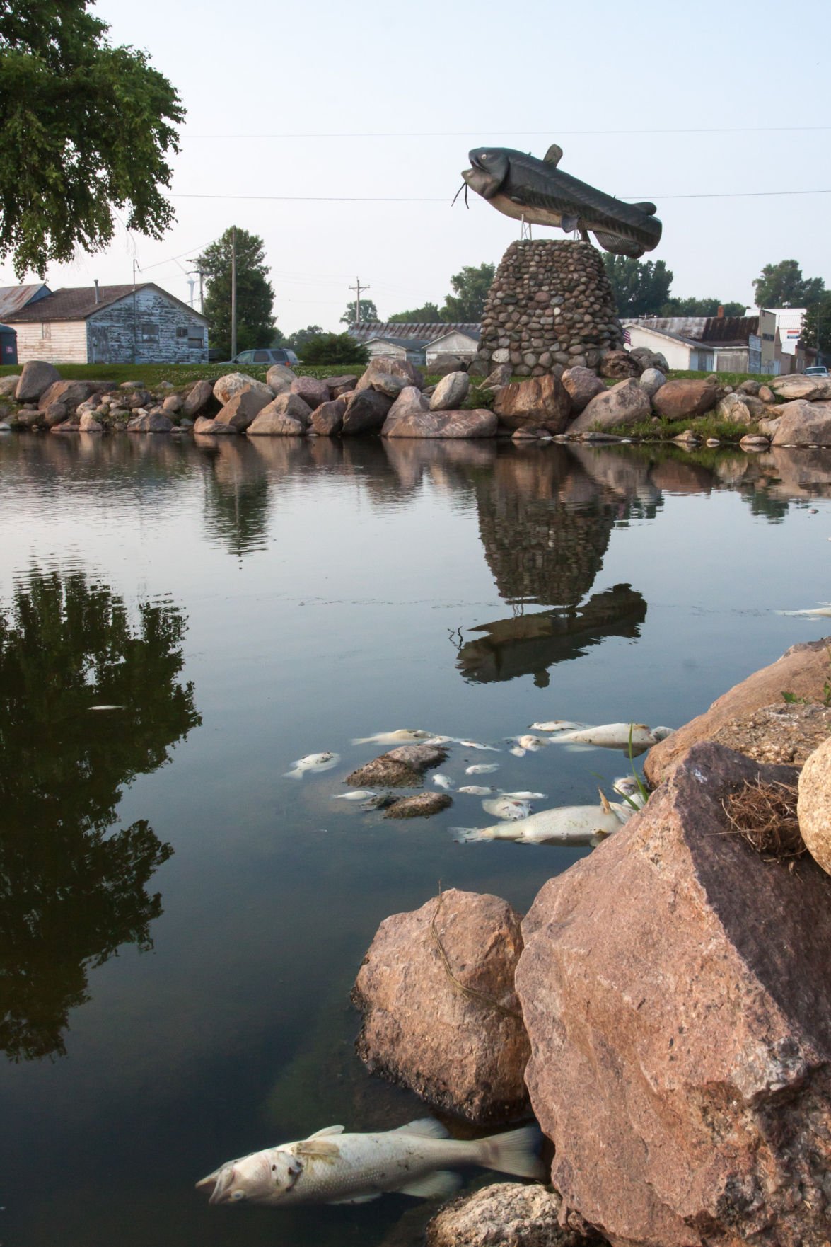 Algae bloom kills thousands of fish at Crystal Lake