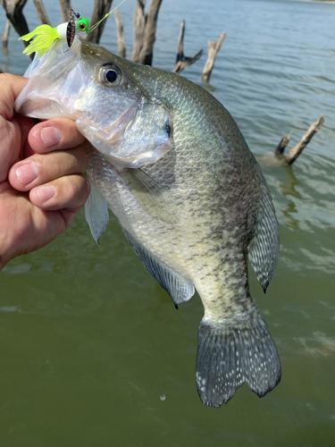 How to jig for summer crappie - Crappie fishing 