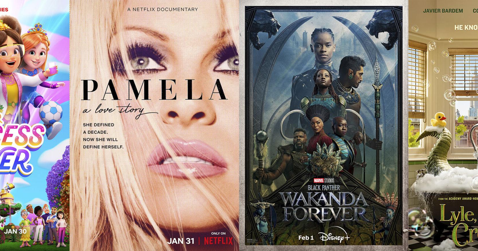 This week's new releases: Shania Twain's new album, 'Princess Power,' Pamela Anderson and more - Vimarsana News