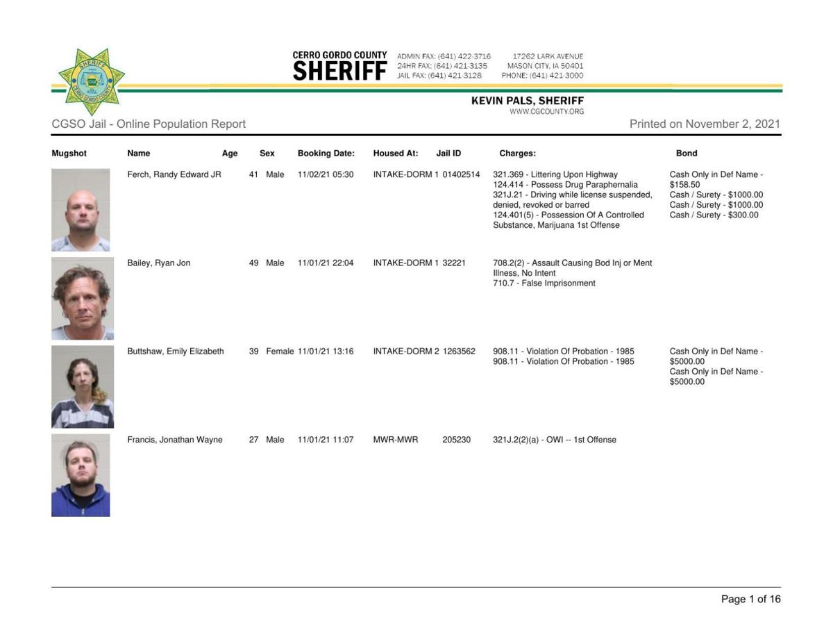 Cerro Gordo County Jail log for Nov. 2