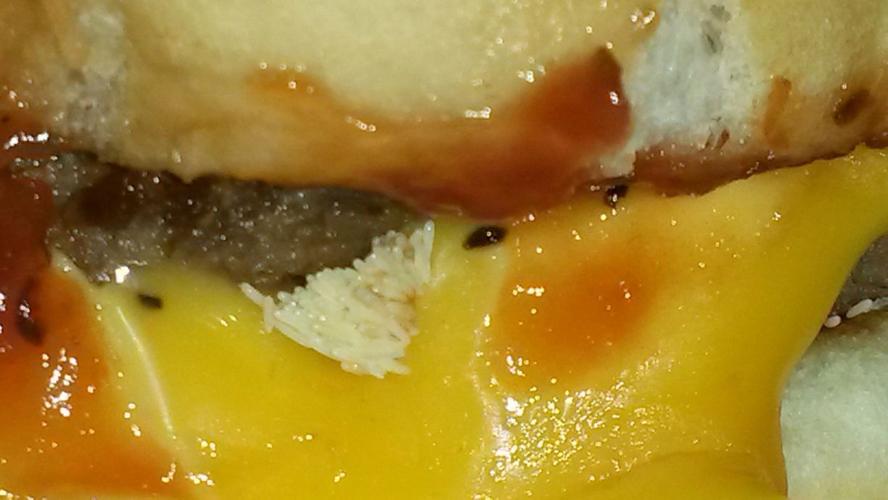 Health Department, McDonald's consider fly eggs on burger case closed