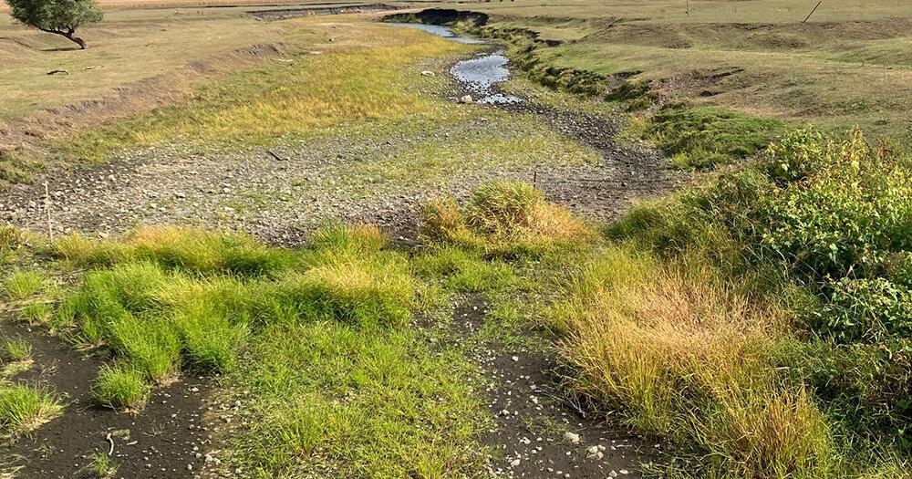Ocheyedan River again goes dry despite new state requirements - Vimarsana News