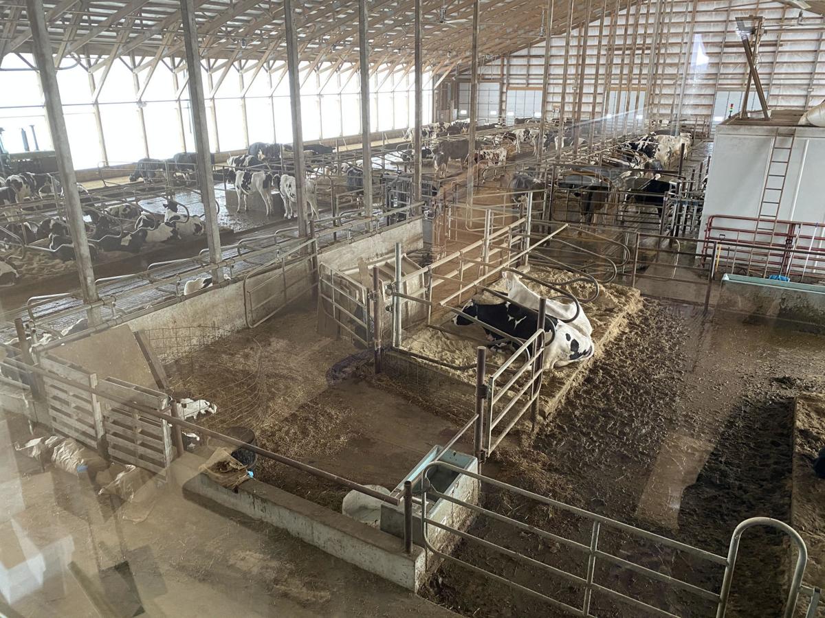 ISDA advocates for Iowa’s dairy farmers