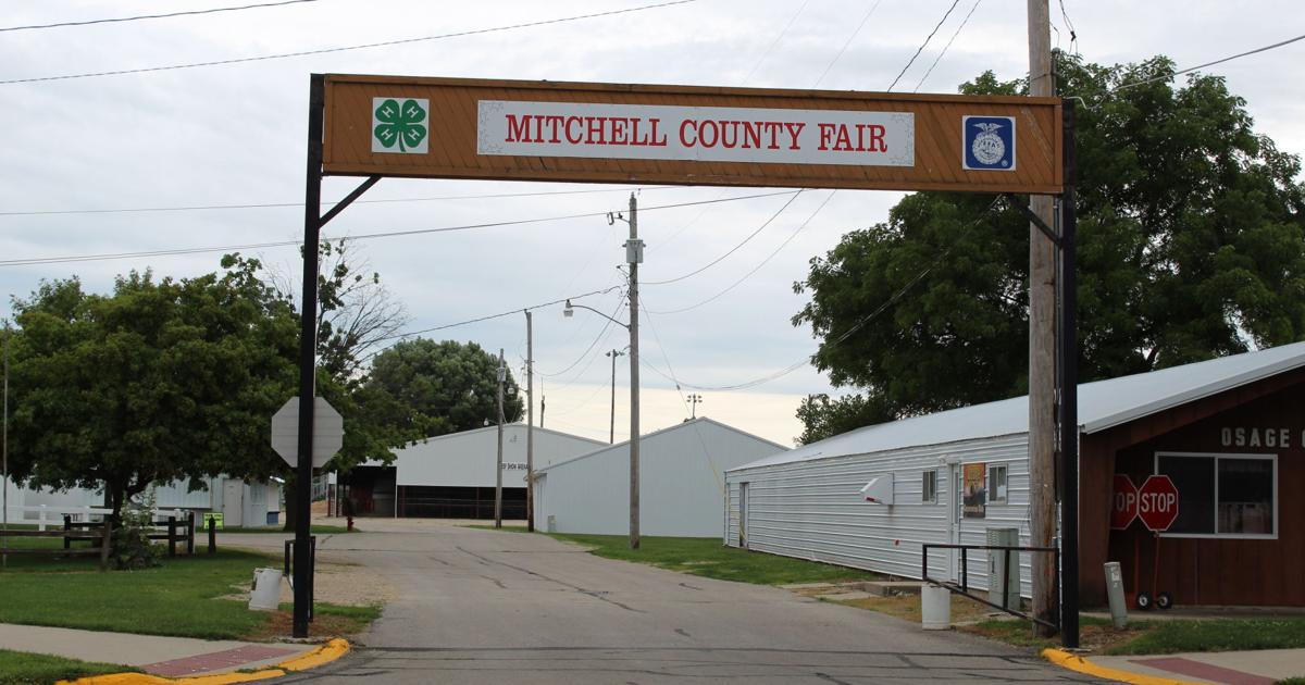 Ffa Ribbion Mitchell County 4-H/FFA Ribbon Auction earns $34,520