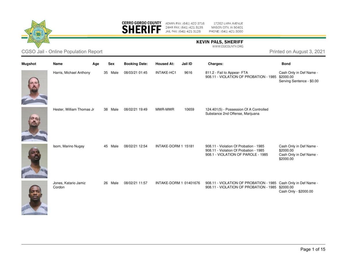 Cerro Gordo County Jail log for August 3
