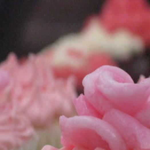 From Cupcakes To Cordon Bleu This Class Cooks Mason City