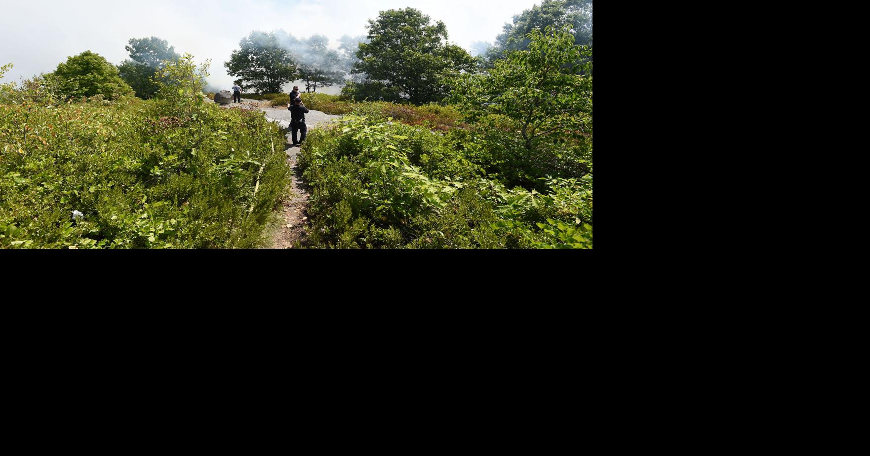 Cape Ann Trail Stewards looking to reestablish Poles Hill trails damaged by brush fire