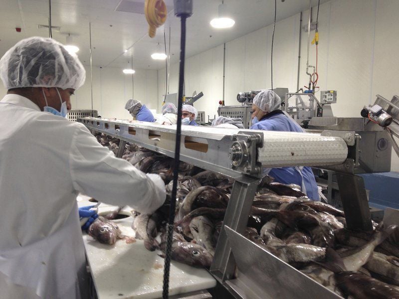 Seafood company's future in question Fishing Industry News